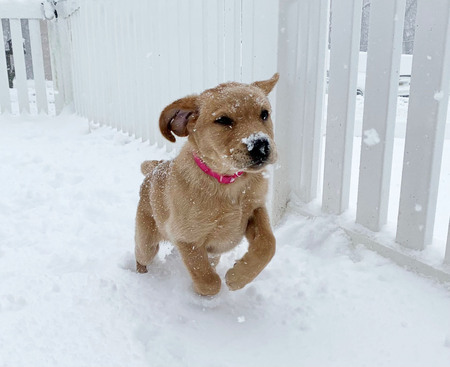 Entry image for Betty. Clicking this image will show a larger photo