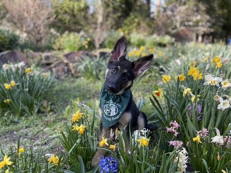Entry image for Cleo. Clicking this image will show a larger photo