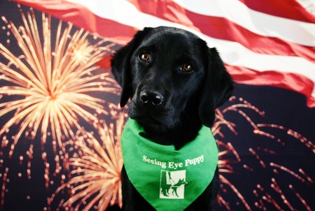 Entry image for Lina. Clicking this image will show a larger photo