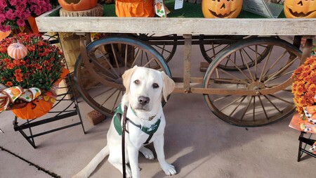 Entry image for Yuki. Clicking this image will show a larger photo