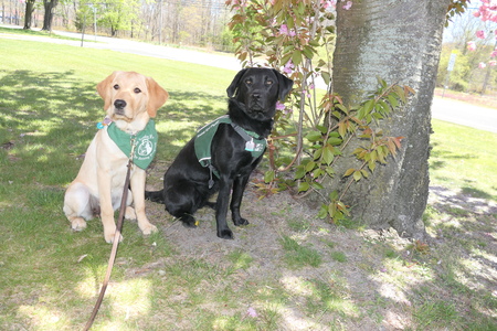 Entry image for Nessie and Faelyn . Clicking this image will show a larger photo