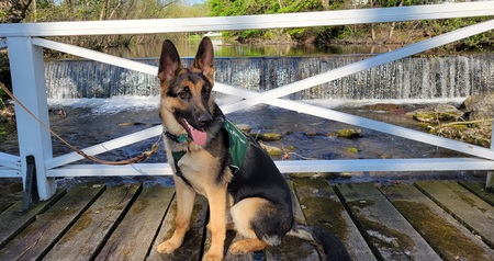 Entry image for Fred. Clicking this image will show a larger photo