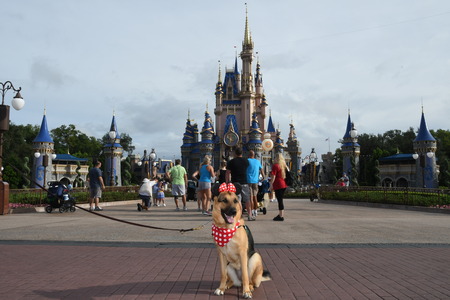Entry image for Kristy. Clicking this image will show a larger photo