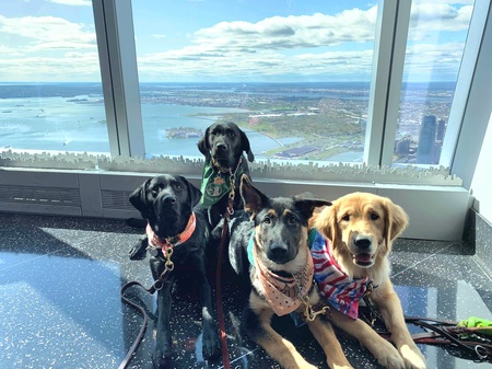 Entry image for Rainy, Nessa, Duncan, and Missy. Clicking this image will show a larger photo
