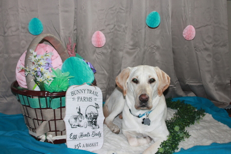 Entry image for Falla. Clicking this image will show a larger photo