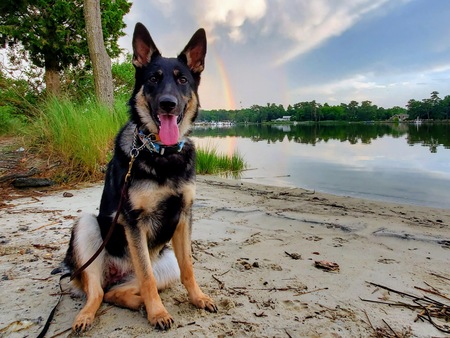 Entry image for Nyla. Clicking this image will show a larger photo