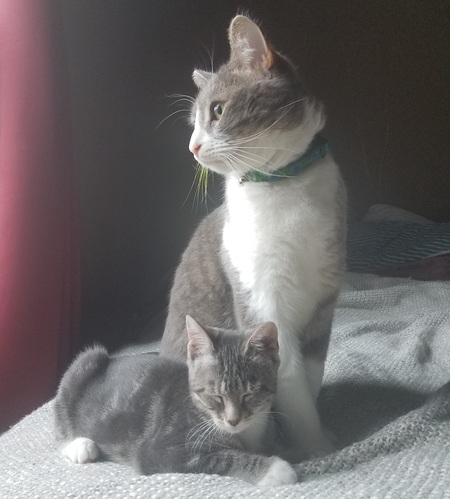 Milo & Bibi