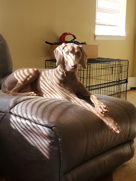 Entry image for Xolani. Clicking this image will show a larger photo