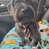 Entry image for Gary