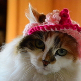 Entry image for MaryAnn