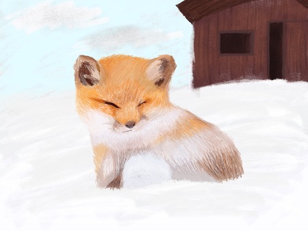 Snowy Nap