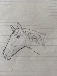 horse