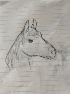 horse