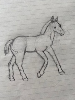 horse