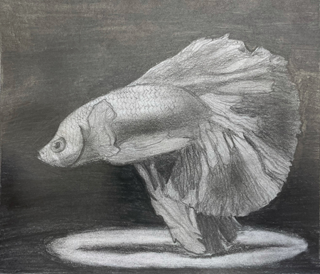 Floating Betta 