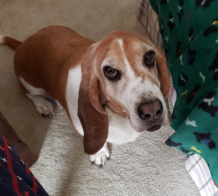Murphy