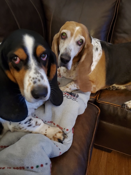 Sadie & Betsy