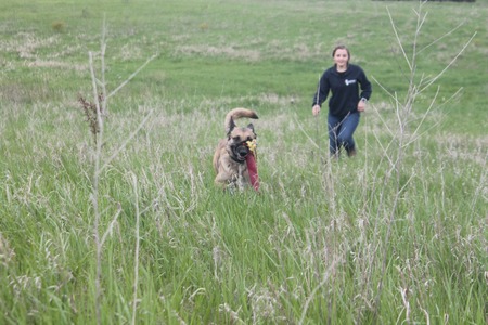 Entry image for Ryker. Clicking this image will show a larger photo