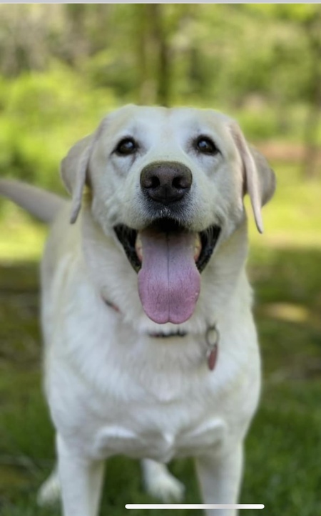 Entry image for Ray of Sunshine . Clicking this image will show a larger photo