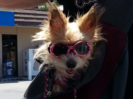Bitsy