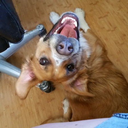 Porthos