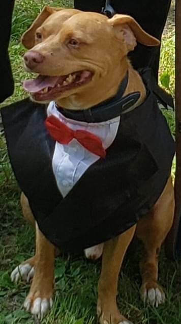 Benny