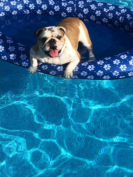 Layla