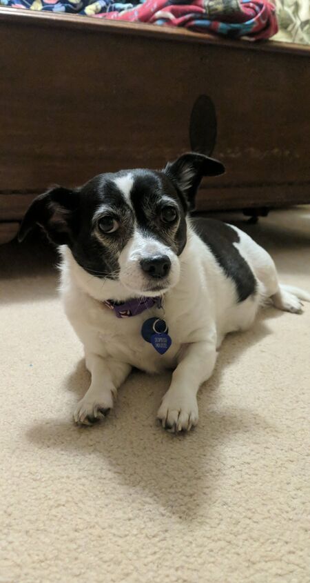 Sophie
