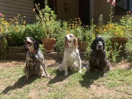 Lucy, Phillip, and Daisy