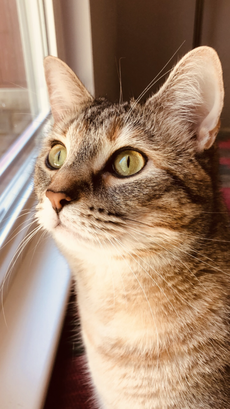 Rosie
