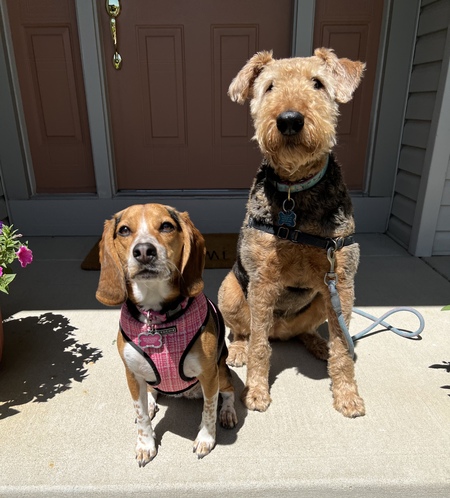 Petunia & Maggie