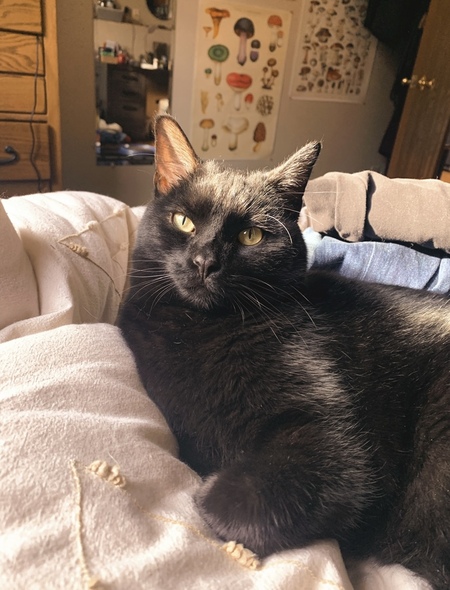 Juno