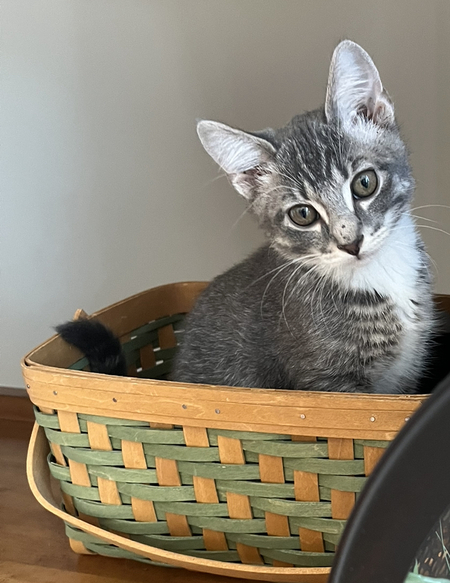 Milo