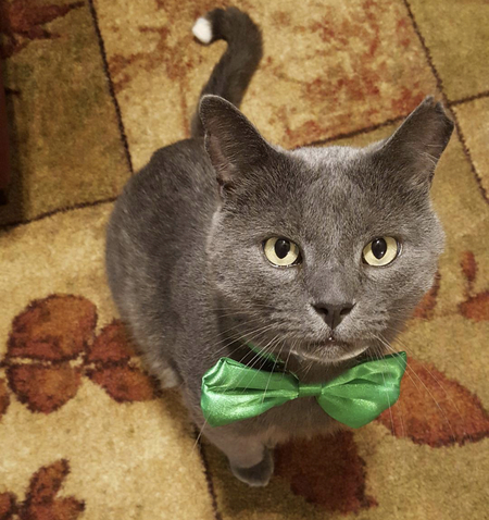 Leo