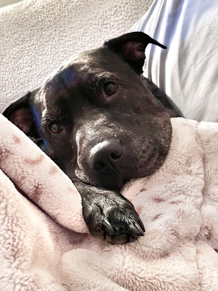 Franklin