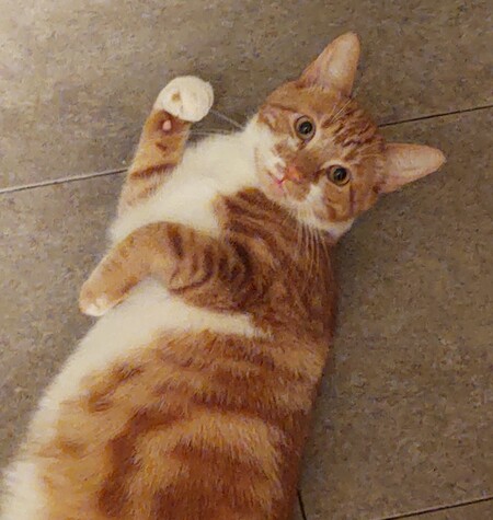 Junior 