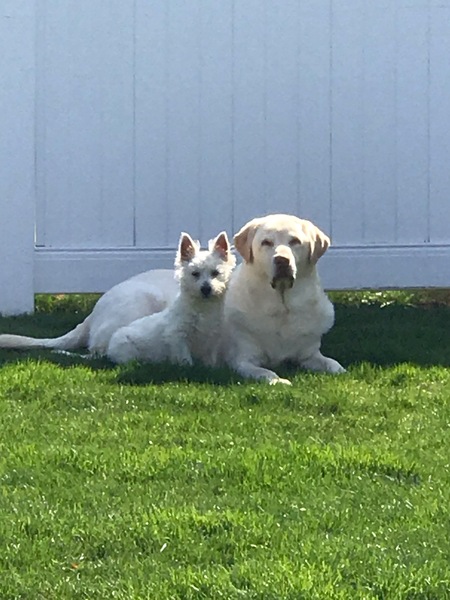Maggiemae and bubbamac 