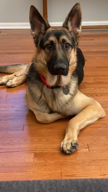 Thor