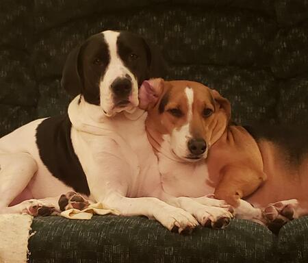 Lacey and Fiona