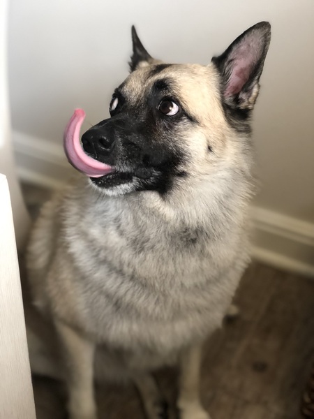 Otis 