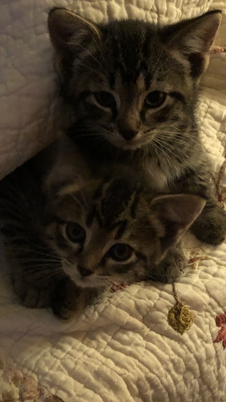 MaryAlice and Merle