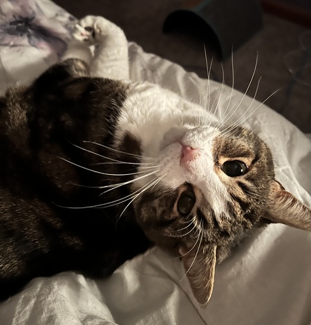 Sookie