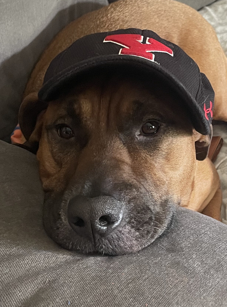 Duke