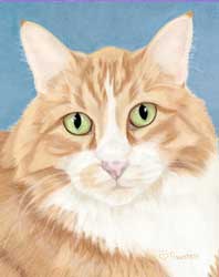 Custom pet portrait in pastel!