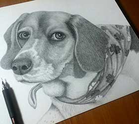 Custom Pet Portrait in Pencil!