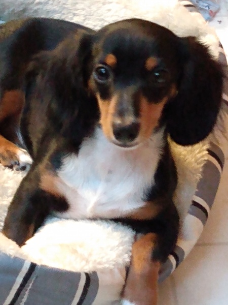 Maggie Mae