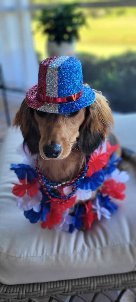 Gertrude (Gertie)
