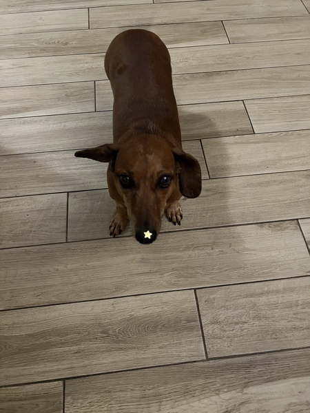 Pablo