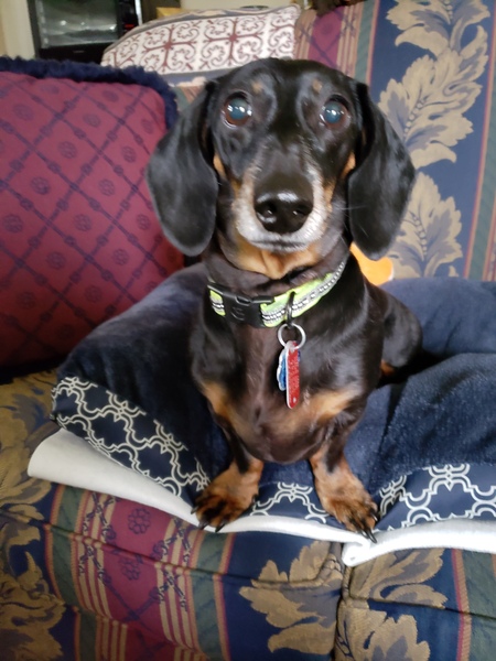 Miss Sammy