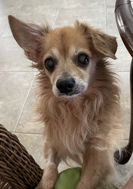 Milo